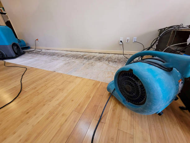 Reliable Basement Flood Cleanup contractor in Hibernia, NJ by Hirex Water Damage