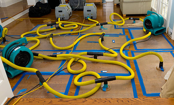 Professional Basement Flood Cleanup technician working in Hibernia, NJ